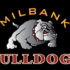 MHS Track and Field Athletes Earn End-of Season Awards