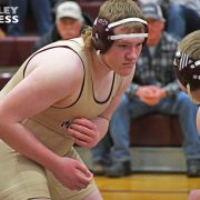 Bulldog Grapplers Take a Bite Out of the Bearcats