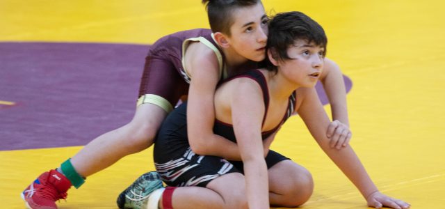Youth Wrestlers Compete in Tournaments