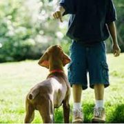 4-H Dog Project Welcomes All Kids