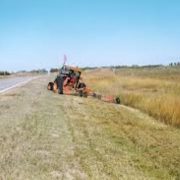 Governor Signs Executive Order to Increase Access to Hay