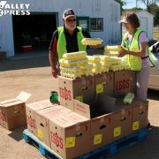 Food Giveaway in Milbank Helps 257 Families