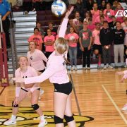 Lady Bulldogs Advance to Finals in Regional Volleyball Tourney