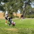 Bulldog Golfers Take Fourth on Redfield’s Unusual Course