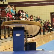 Milbank Area Gymnasts Poised for Regions