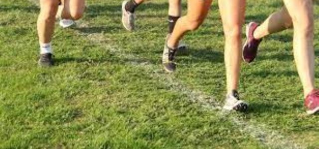 Bulldogs to Start Cross Country Practice August 10