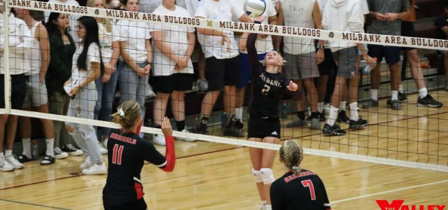 Lady Bulldogs Volleyball Team Wins Two