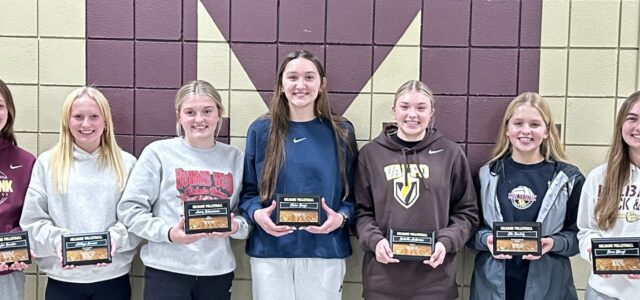 End-of-Season Volleyball Awards Announced