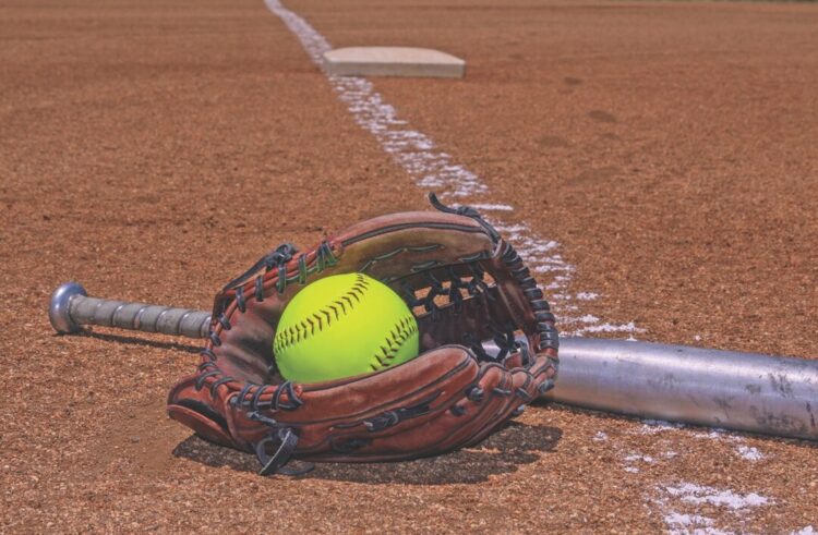 Lady Bulldogs Defeat Clark-Willow Lake in Slugfest