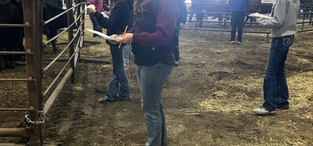 Milbank FFA Teams Take Firsts at CDE Contests 