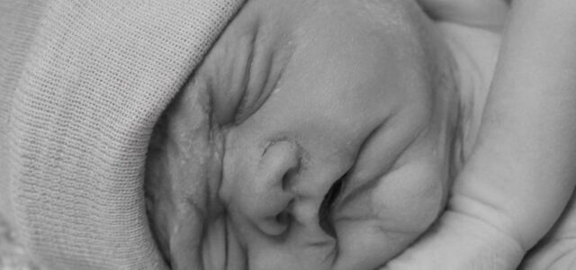 Landon David Plaga