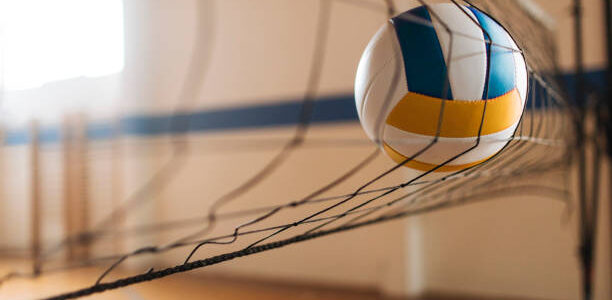 Lady Bulldogs Volleyball Action and Scores