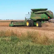 Milbank FFA Members to Feed Farmers in the Fields