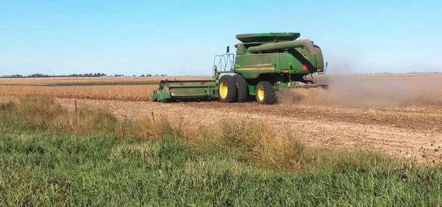 Milbank FFA Members to Feed Farmers in the Fields