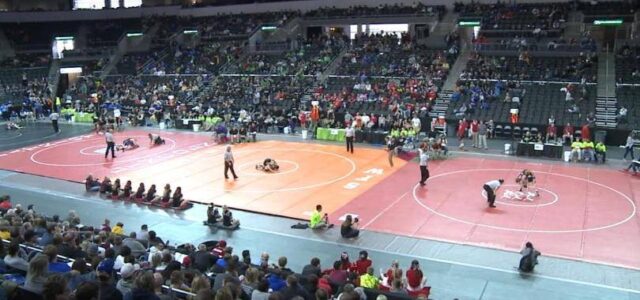Novy and Tostenson Place at State Wrestling Tournament