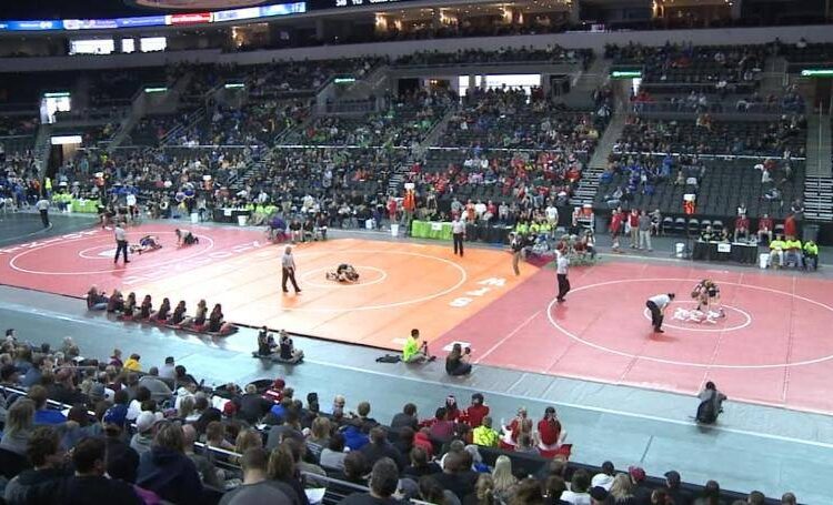 Novy and Tostenson Place at State Wrestling Tournament