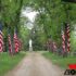 Memorial Day Events Scheduled in Milbank