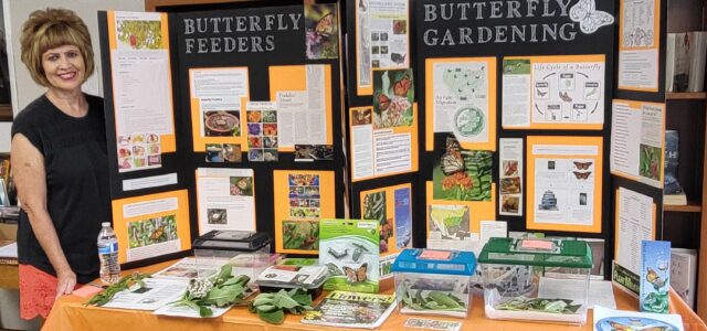 Dewald Offers Wingspiration for Fostering Butterflies