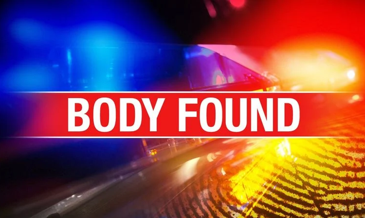 Body Found in Cornfield Near Ortonville