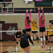 Lady Bulldogs Lose Dustup With Deubrook