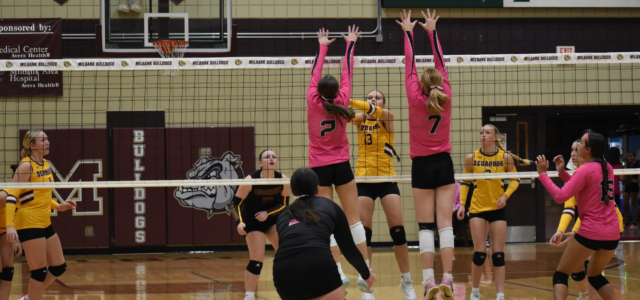 Lady Bulldogs Lose Dustup With Deubrook
