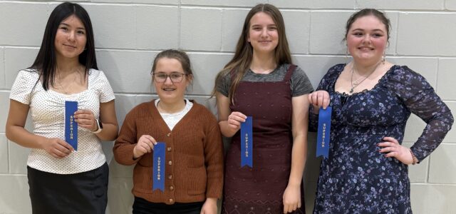 Oral Interp Team Earns Superior Ratings at Hamlin