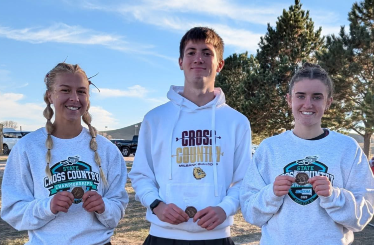 Bulldogs Bring Home Bling From State Cross Country Meet