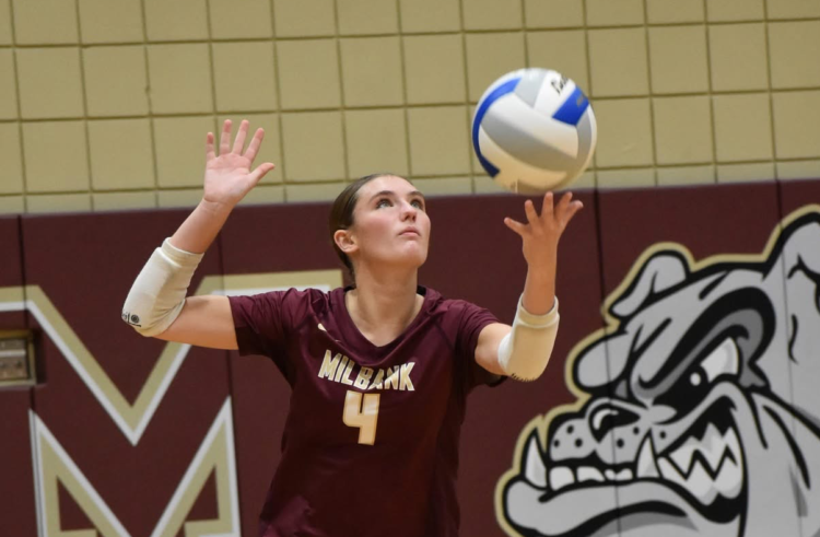 Lady Bulldogs Host Volleyball Tourney